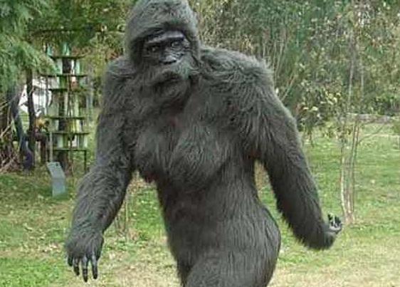 Hóember nagylábú képe