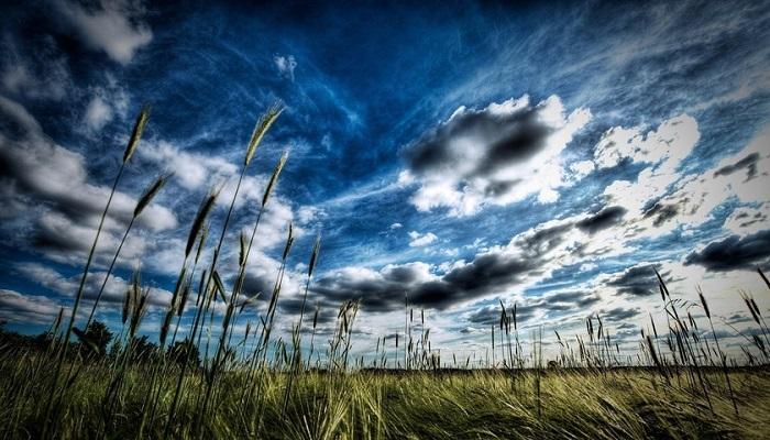 Az égből származó trombita hangok egyre változatosabbak és átfogóbbak, bár természetük rejtély marad.