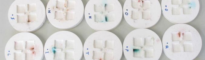 A WC-k épülnek ... hangyák