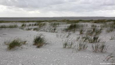 Új sziget jelent meg Németország partjainál