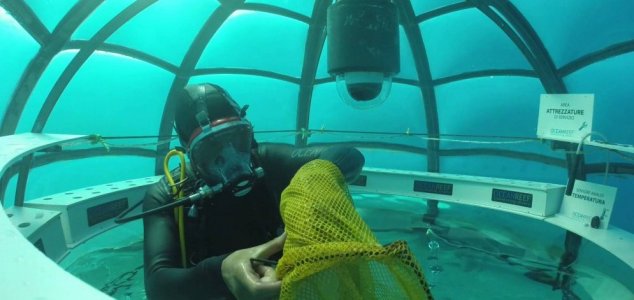 A tudósok ember számára ehető növényeket fognak víz alatt termeszteni