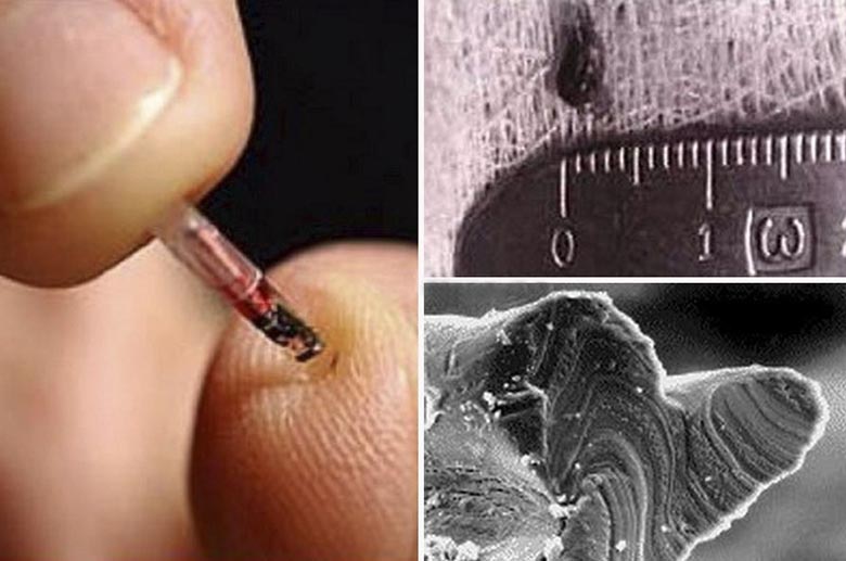 A tudósok bebizonyították, hogy az idegenek elrabolnak és elcsábítanak embereket