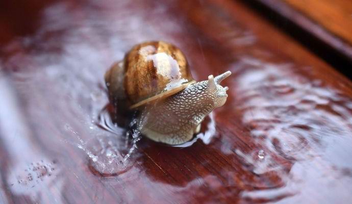 A tudósok megtaláltak