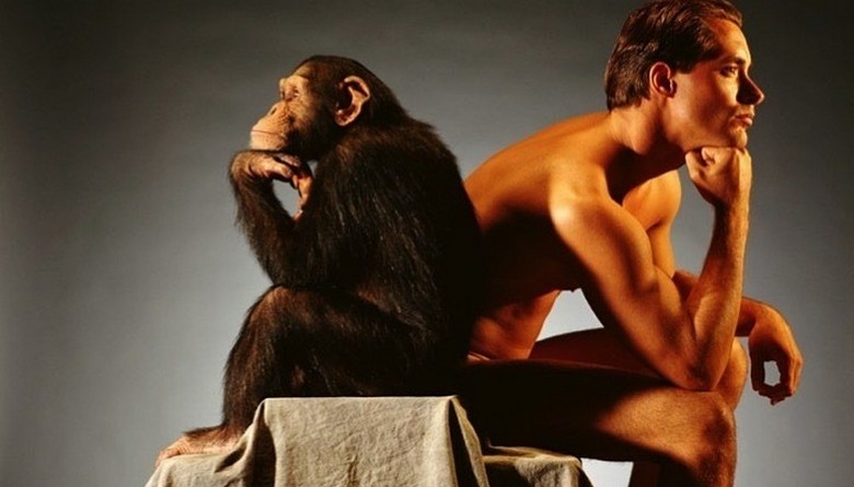 A tudósok felfedezték, mi változtatta meg a majomot emberré