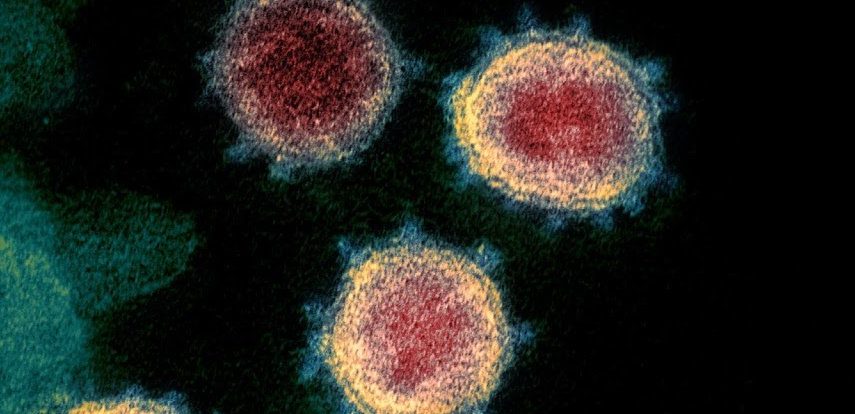 A tudósok titokzatosan rejtett „gént” fedeztek fel a SARS-CoV-2 génben 