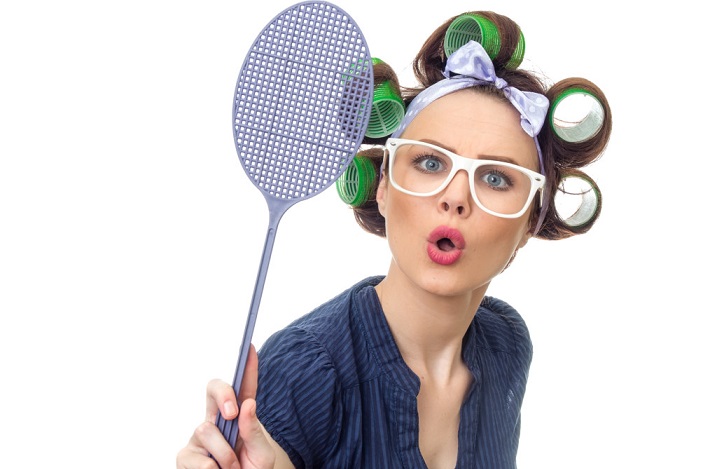 A tudósok kifejtették, hogy az otthoni pókok mennyire hasznosak