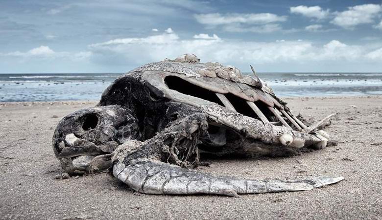 A tudósok figyelmeztetnek