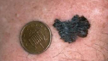 A tudósok hogyan jöttek létre