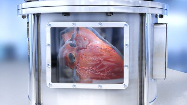 A tudósok létrehozták az emberi szervek működő mikrokópiáit 