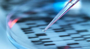 A tudósok laboratóriumban megnövelték az ember gyomráját