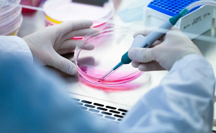 A tudósok két hét alatt legyőzik a cukorbetegséget őssejtekkel