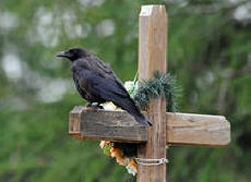 A tudós látta, mi történt a lélekkel a halál után!