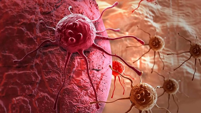 A tudósok megfosztották