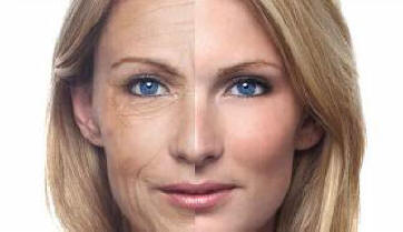 A tudósoknak sikerült megfordítani az öregedési folyamatot