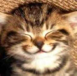 Csodálatos tények, amelyek mosolyognak.