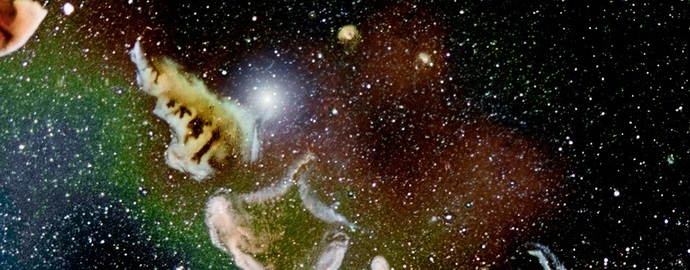 Csodálatos képek: mikrokozmosz a lencsében