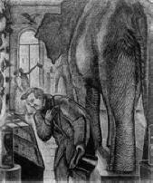 Az okos emberek látnak egy légyet, de hiányzik az elefánt