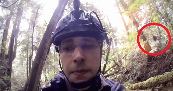 Yeti véletlenül észrevette az amerikai televíziós show-ban