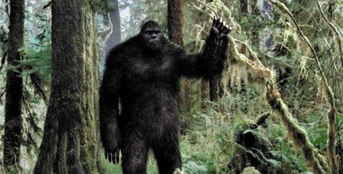 A Bigfoot az amerikai erdőben forgatták
