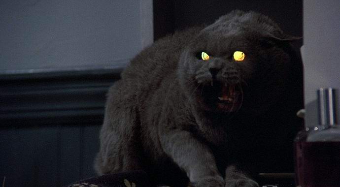 Amerikában található királyi temető