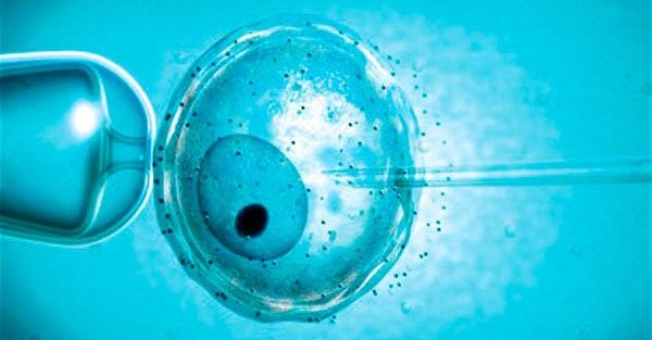 Angliában gyermeket három szülőből is elképzelhet