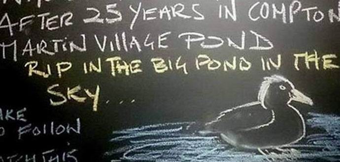 Az angol vidéken kitüntetéssel akarják eltemetni a drakét