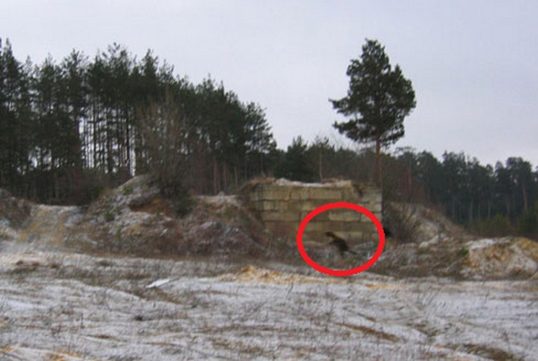 A Chupacabra újra megjelenik Astrahanban