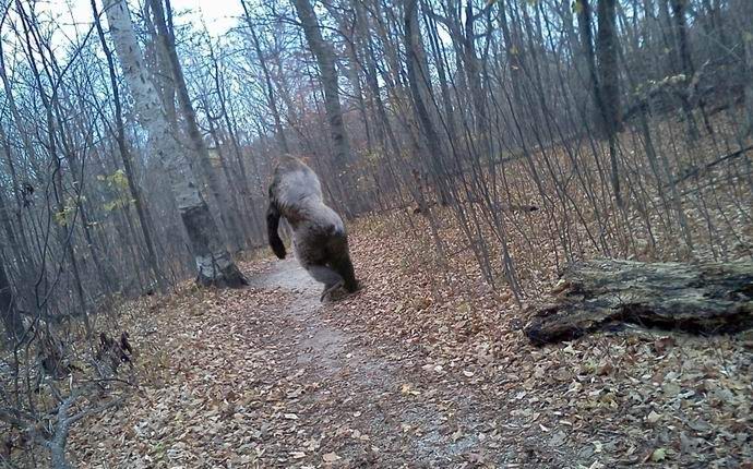 Egy hóember forgatták Ausztráliában