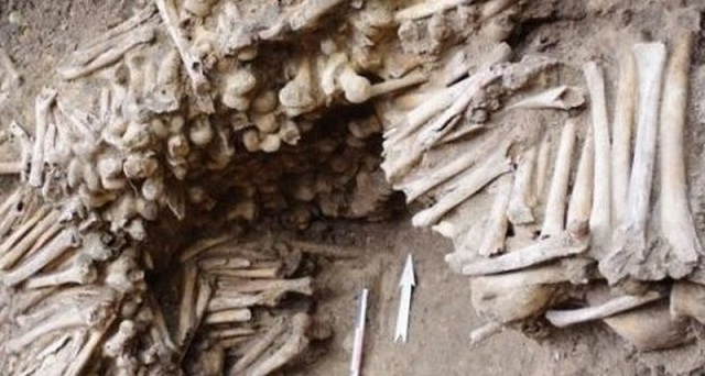 Belgiumban, a felfedezett katedrális alatt