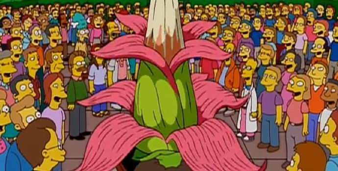 Belgiumban egy hatalmas büdös virág virágzott