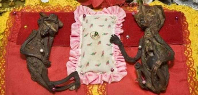 A mumifikált tündéreket buddhista templomban tartják