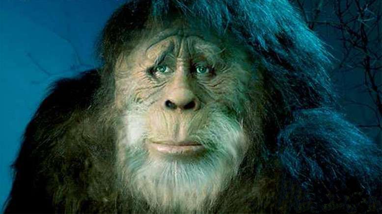 A cseljabinszki régióban egy új vonzerő jelent meg a turisták számára: mégis etetni