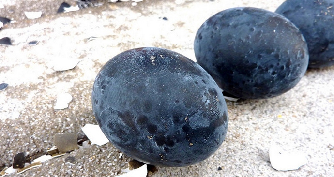 A fekete sárkánytojásban az élet meghosszabbításának titka