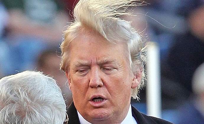 A hozzá hasonló lepkét Donald Trump elnevezésnek hívják.