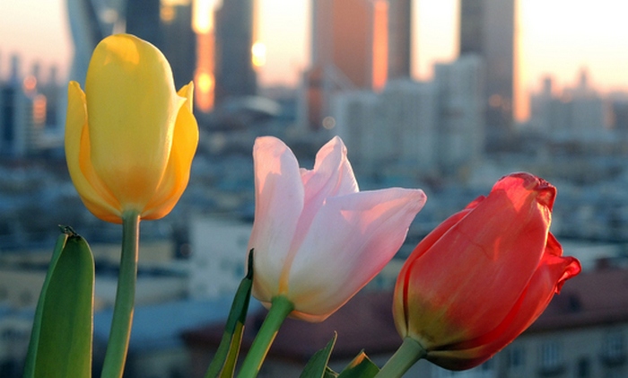 Március 8-án - érdekes tények a nőkről!