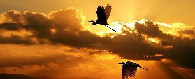 Valentin-nap - a legszebb dolog a természetben