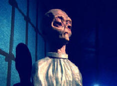 Idegenek vannak gazdasági összeesküvésben?