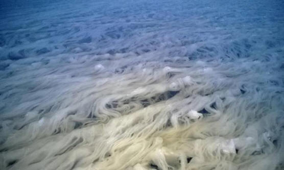 A kialakult finn tóban