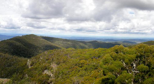 „Mount_kaputar.jpg.492x0_q85_crop