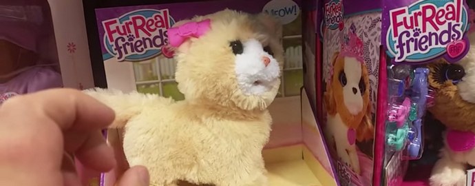 Egy démon behozta a játékcicát?