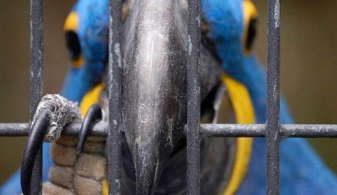 Indiában letartóztattak egy közönséges bárt.