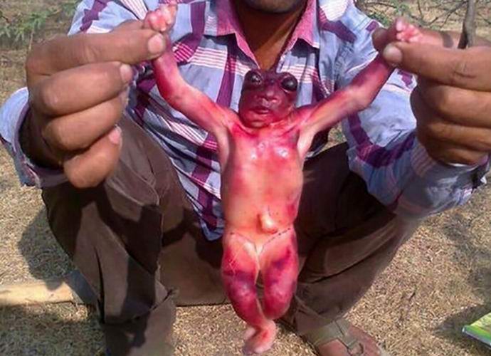 Indiában talált egy csodálatos lény holttestét