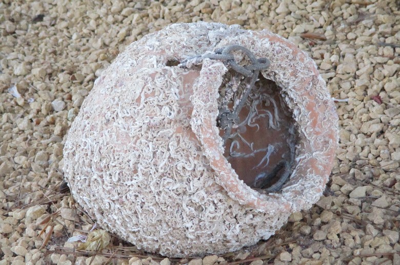 Indonéziában egy korsó alakú tárgy esett le az égből.