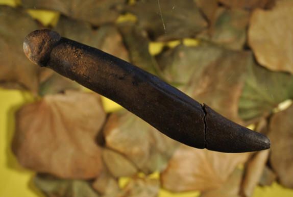 Svédországból származó cikk. A céllal is vitatkoznak.