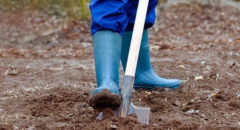 Jól megőrzött középkori hajó található Kazahsztánban