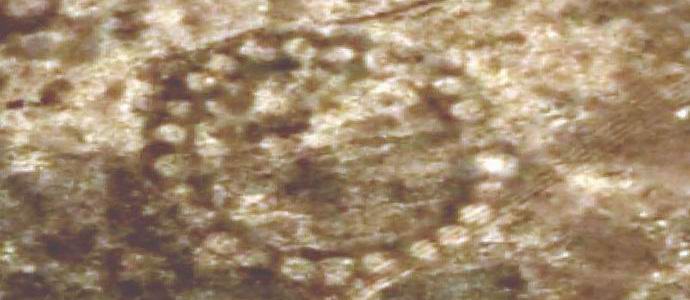 Kazahsztánban hatalmas földrajzokat fedeztek fel