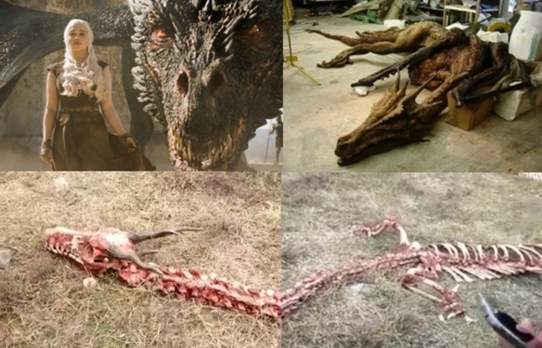 Kínában talált egy hatalmas sárkány csontvázát?