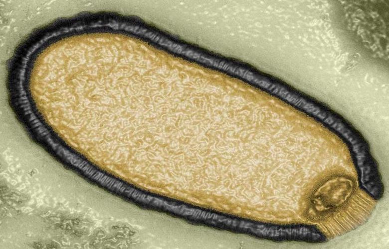 Található az Egyesült Államok erdőiben