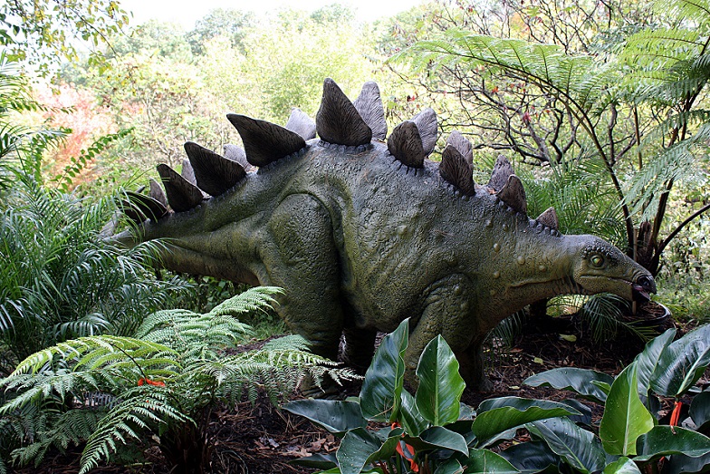 Marokkóban találtak egy ősi sztegoszaurusz maradványait