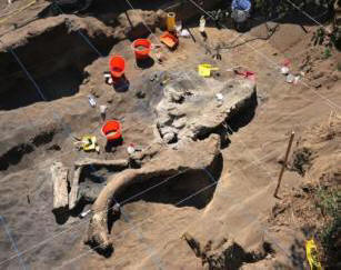 Mexikóban találtak egy felnőtt mamut maradványait